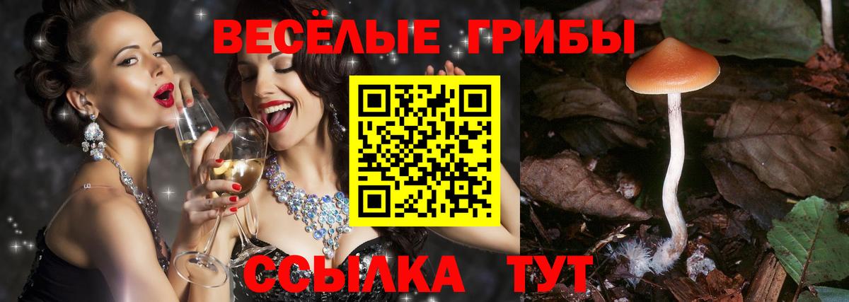 Галлюциногенные грибы ЛСД  Псилоцибиновые грибы Psilocybe  Вход с VPN  купить наркоту  Коммунар 