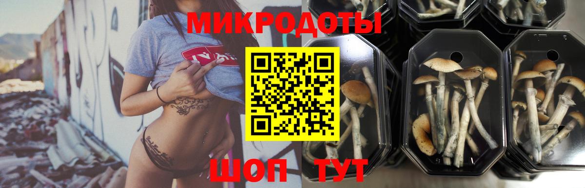 Галлюциногенные грибы прущие грибы Коммунар