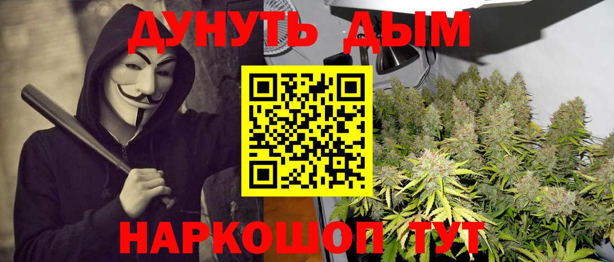 Каннабис MAZAR Коммунар